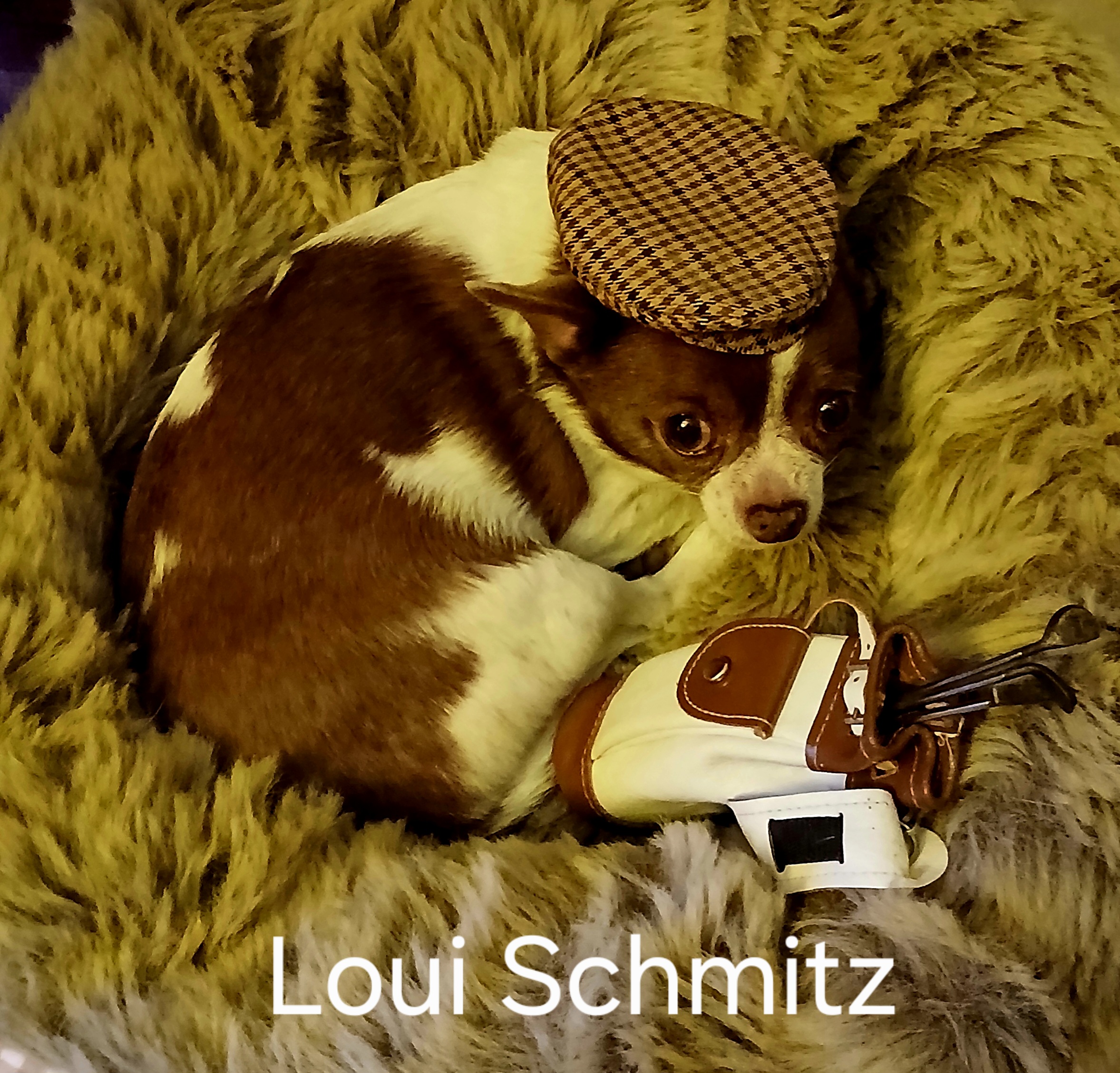Logo von Andreas Schmitz